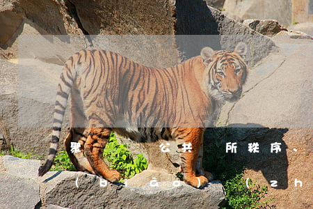 聚眾擾亂公共場所秩序、交通秩序罪立案標(biāo)準(zhǔn)_2021聚眾擾亂公共場所秩序、交通秩序罪量刑標(biāo)準(zhǔn)和認(rèn)定構(gòu)成